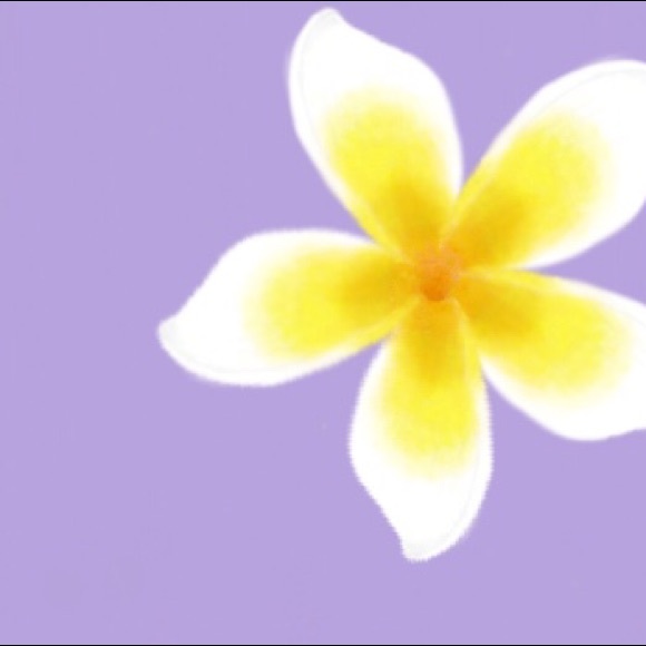 Meet your Posher, Allyson - Picture 1 of 1